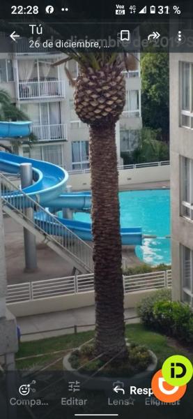 Arriendo por días con piscina en la florida